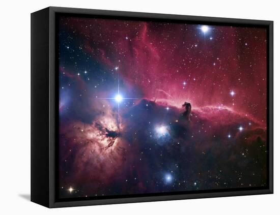 The Horsehead Nebula-Stocktrek Images-Framed Stretched Canvas