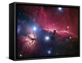 The Horsehead Nebula-Stocktrek Images-Framed Stretched Canvas