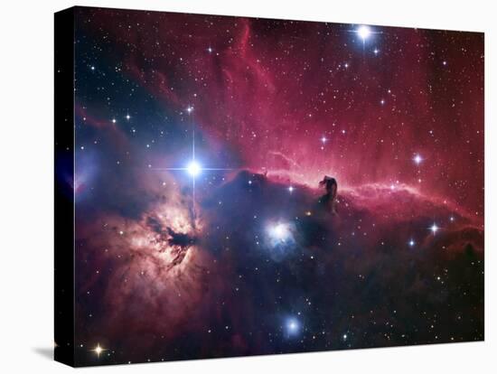 The Horsehead Nebula-Stocktrek Images-Stretched Canvas