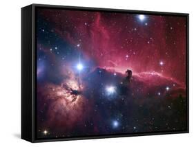 The Horsehead Nebula-Stocktrek Images-Framed Stretched Canvas