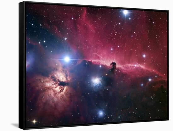 The Horsehead Nebula-Stocktrek Images-Framed Stretched Canvas