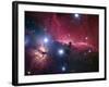 The Horsehead Nebula-Stocktrek Images-Framed Photographic Print