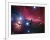 The Horsehead Nebula-Stocktrek Images-Framed Photographic Print