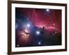 The Horsehead Nebula-Stocktrek Images-Framed Photographic Print