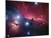 The Horsehead Nebula-Stocktrek Images-Mounted Photographic Print