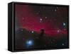 The Horsehead Nebula-null-Framed Stretched Canvas