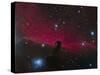 The Horsehead Nebula-null-Stretched Canvas