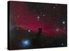 The Horsehead Nebula-null-Stretched Canvas