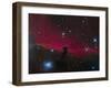 The Horsehead Nebula-null-Framed Photographic Print