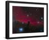 The Horsehead Nebula-null-Framed Photographic Print