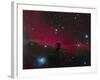 The Horsehead Nebula-null-Framed Photographic Print