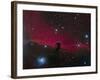 The Horsehead Nebula-null-Framed Photographic Print