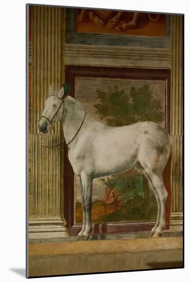 The Horses Hall, 1525-1535.-Giulio Romano-Mounted Giclee Print
