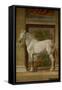 The Horses Hall, 1525-1535.-Giulio Romano-Framed Stretched Canvas