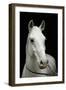 The horses names are composed of the parents names, the sires and the dams.-Erich Lessing-Framed Giclee Print