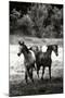 The Horses Three I - BW-Alan Hausenflock-Mounted Photographic Print