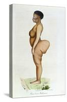 The Hottentot Venus, Bushman Woman, from "L'Histoire Naturelle Des Mammiferes"-Carel Christian Anthony Last-Stretched Canvas