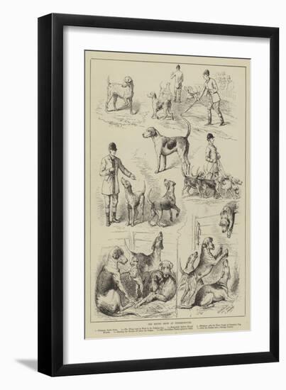 The Hound Show at Peterborough-null-Framed Giclee Print