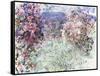 The House Among the Roses, 1925-Claude Monet-Framed Stretched Canvas