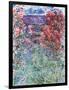 The House at Giverny Under the Roses, 1925-Claude Monet-Framed Giclee Print