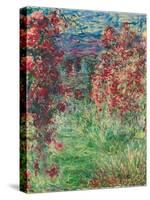 The House at Giverny under the Roses; La Maison Dans Les Roses, 1925-Claude Monet-Stretched Canvas