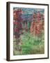 The House at Giverny under the Roses; La Maison Dans Les Roses, 1925-Claude Monet-Framed Giclee Print