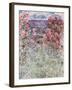 The House in the Roses, 1925-Claude Monet-Framed Giclee Print