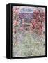 The House in the Roses, 1925-Claude Monet-Framed Stretched Canvas