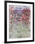 The House in the Roses, 1925-Claude Monet-Framed Giclee Print