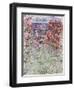 The House in the Roses, 1925-Claude Monet-Framed Giclee Print