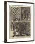 The House of Commons Illustrated-null-Framed Giclee Print