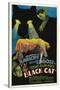 The House of Doom, 1934, "The Black Cat" Directed by Edgar Ulmer-null-Stretched Canvas