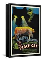 The House of Doom, 1934, "The Black Cat" Directed by Edgar Ulmer-null-Framed Stretched Canvas