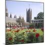 The House of Lords-null-Mounted Photographic Print