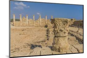 The House of Theseus in Paphos Archaeological Park, Paphos, Cyprus-Chris Mouyiaris-Mounted Photographic Print