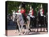 The Household Cavalry at Trooping the Colour parade-Associated Newspapers-Stretched Canvas