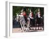 The Household Cavalry at Trooping the Colour parade-Associated Newspapers-Framed Photo