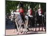 The Household Cavalry at Trooping the Colour parade-Associated Newspapers-Mounted Photo