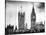 The Houses of Parliament and Big Ben - City of London - UK - England - United Kingdom - Europe-Philippe Hugonnard-Stretched Canvas