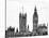 The Houses of Parliament and Big Ben - City of London - UK - England - United Kingdom - Europe-Philippe Hugonnard-Stretched Canvas