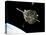 The Hubble Space Telescope in Orbit Above Earth-null-Stretched Canvas