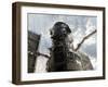 The Hubble Space Telescope-Stocktrek Images-Framed Premium Photographic Print