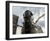 The Hubble Space Telescope-Stocktrek Images-Framed Photographic Print