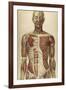 The Human Body with Superimposed Colored Plates by Julien Bougle-Stocktrek Images-Framed Art Print