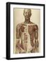 The Human Body with Superimposed Colored Plates by Julien Bougle-Stocktrek Images-Framed Art Print