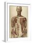 The Human Body with Superimposed Colored Plates by Julien Bougle-Stocktrek Images-Framed Art Print