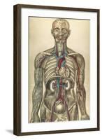 The Human Body with Superimposed Colored Plates by Julien Bougle-Stocktrek Images-Framed Art Print