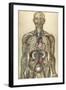 The Human Body with Superimposed Colored Plates by Julien Bougle-Stocktrek Images-Framed Art Print