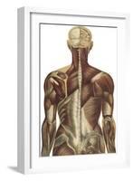 The Human Body with Superimposed Colored Plates by Julien Bougle-Stocktrek Images-Framed Art Print