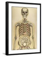 The Human Body with Superimposed Colored Plates by Julien Bougle-Stocktrek Images-Framed Art Print